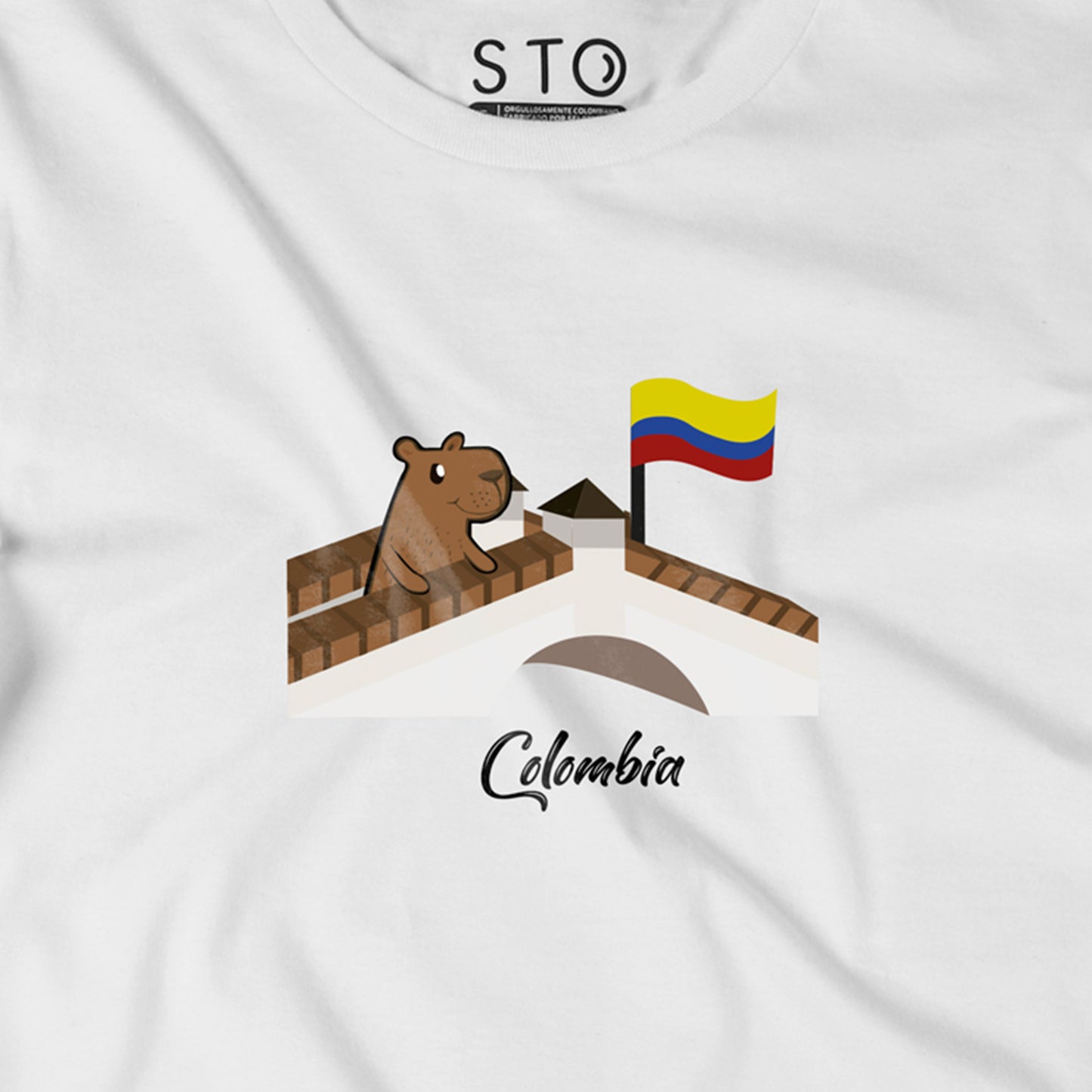 Camiseta Estampada Hombre | ChigüiColombia