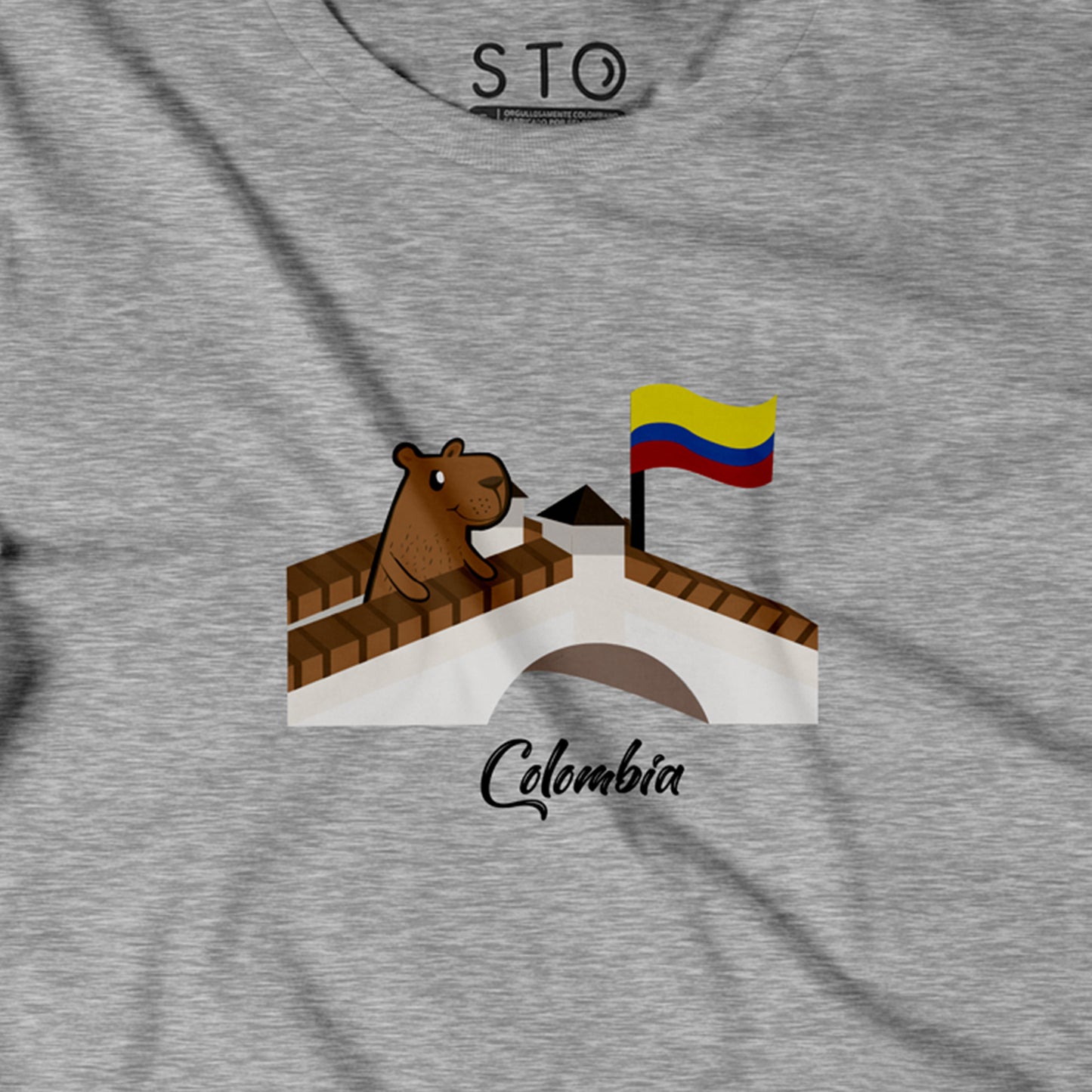 Camiseta Estampada Hombre | ChigüiColombia