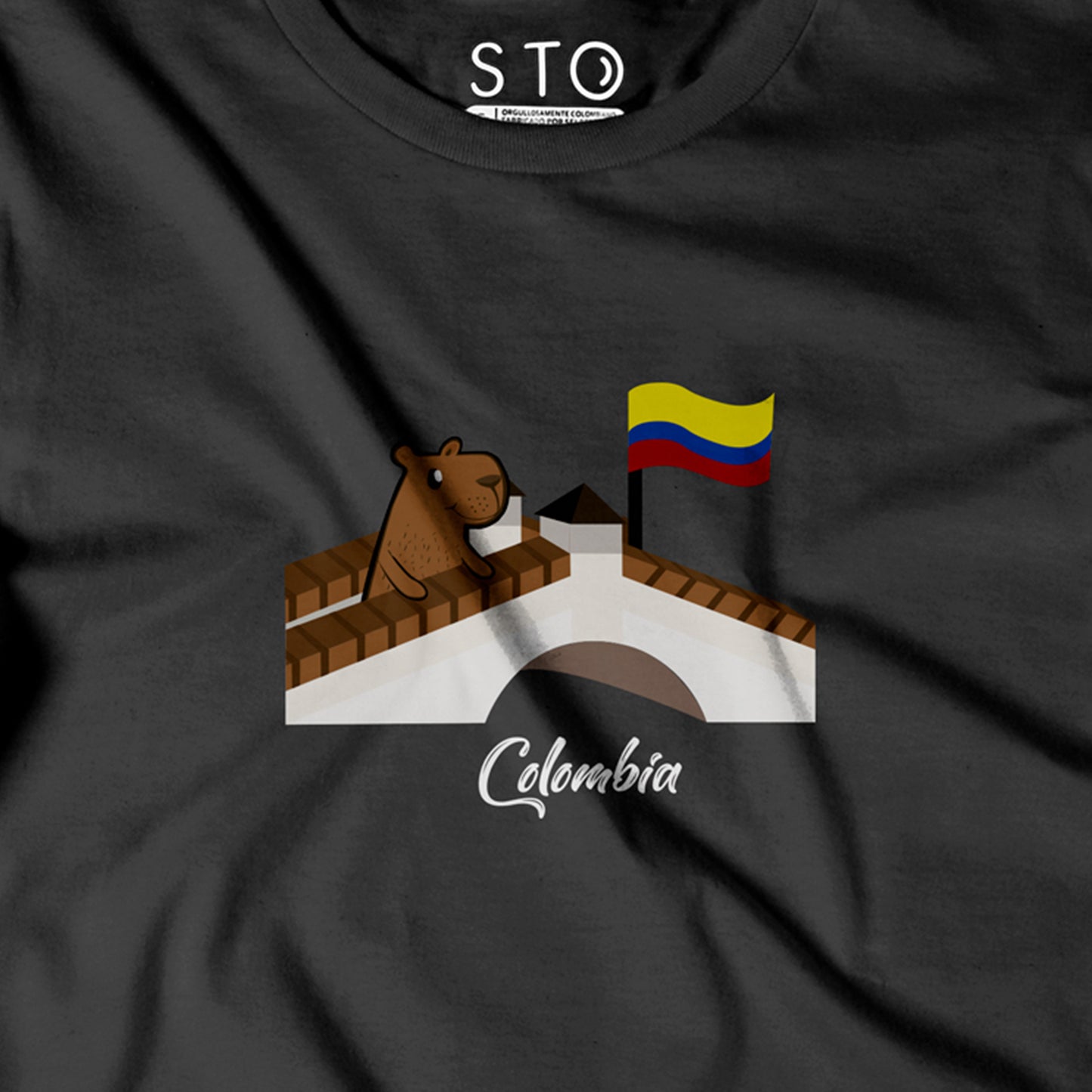 Camiseta Estampada Hombre | ChigüiColombia