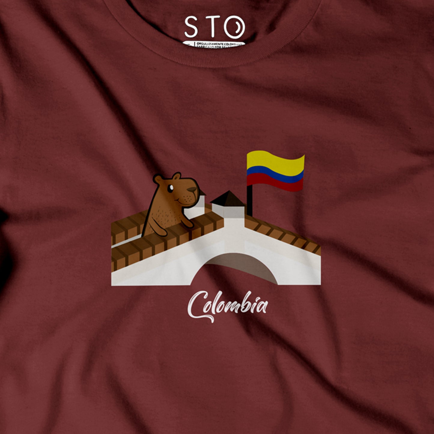 Camiseta Estampada Hombre | ChigüiColombia