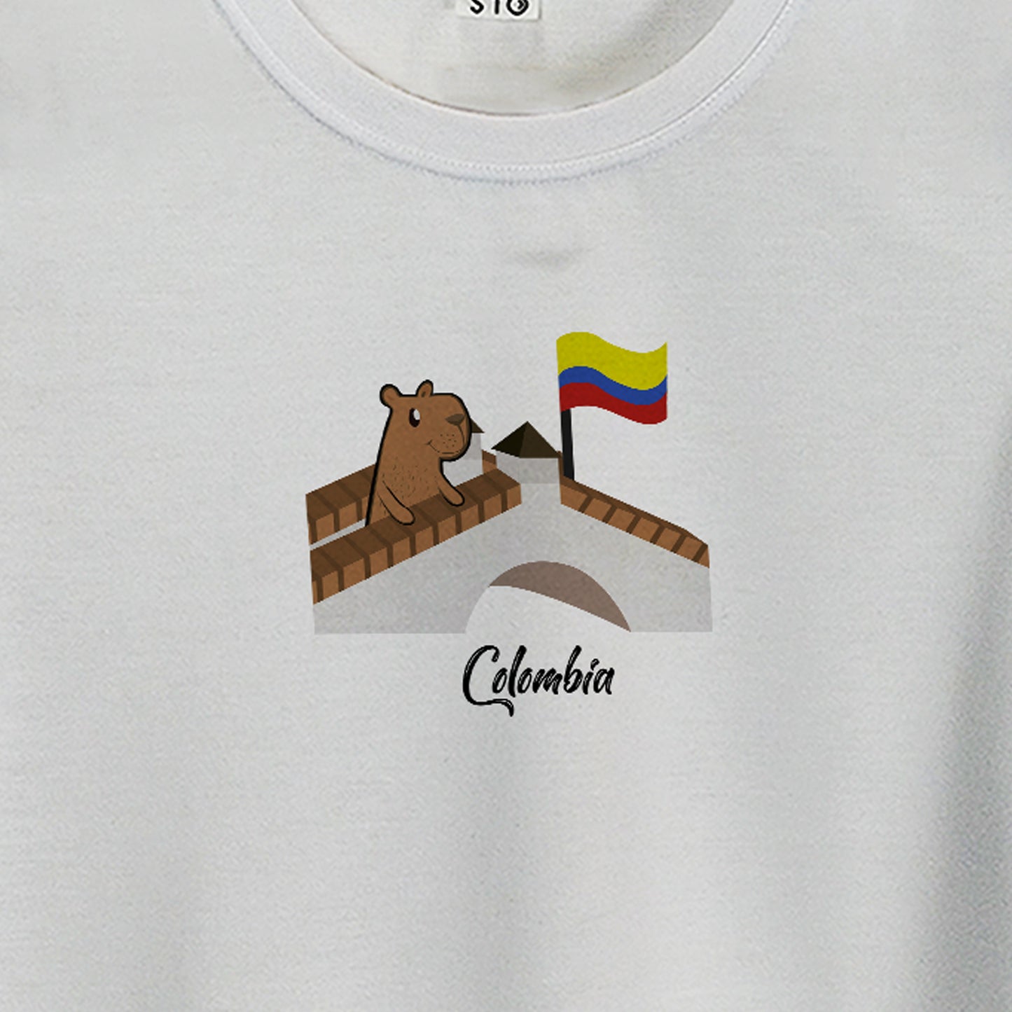 Camiseta Estampada Mujer | ChigüiColombia