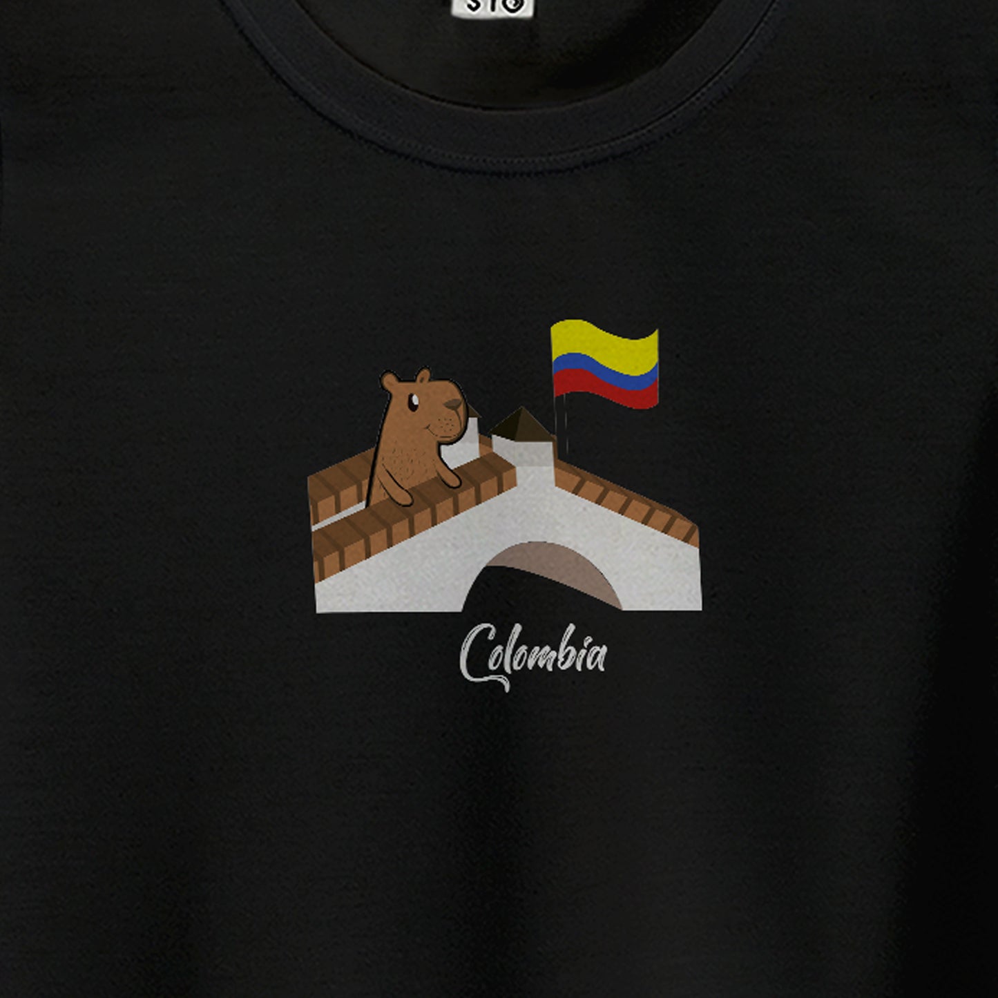 Camiseta Estampada Mujer | ChigüiColombia